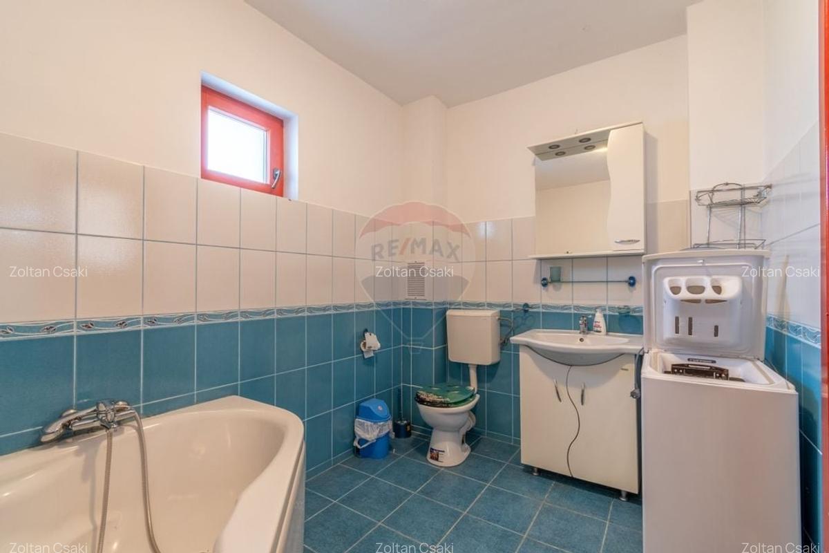 Casa de vanzare Jucu de Mijloc, Zona Panemar Teren intravilan 3301 mp - 12