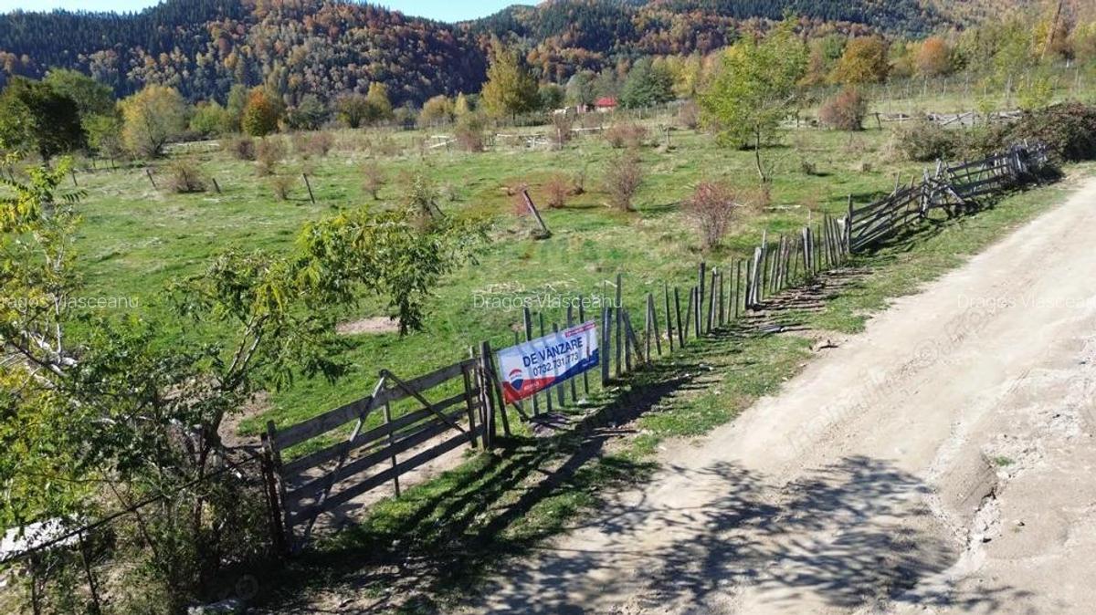Teren de vanzare in Leresti - ideal pentru casa sau pensiune la munte - 9
