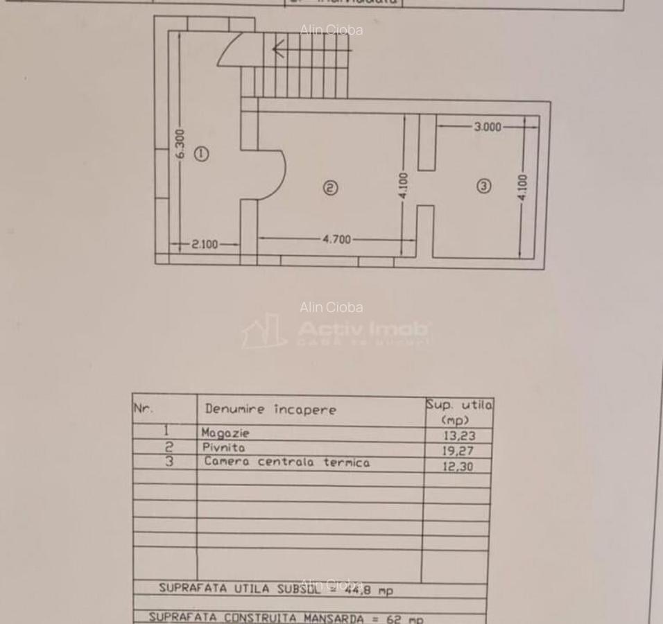 Casa cu trei apartamente plus spatiu comercial, cartier Buda - 6