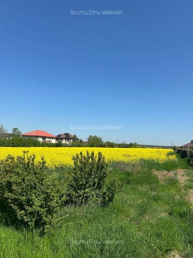 Teren intravilan cu destinatie rezidentiala 26.300 mp Balotesti - 21
