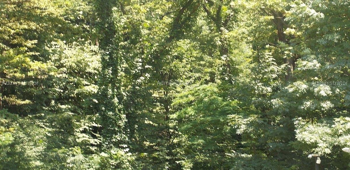 Teren Intravilan ,Padurea Baneasa , Voluntari - 3