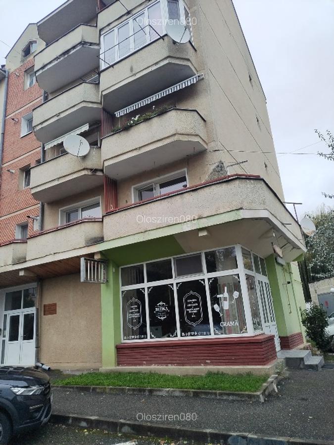 Apartament cu 2 camere in centrul orasului - 9