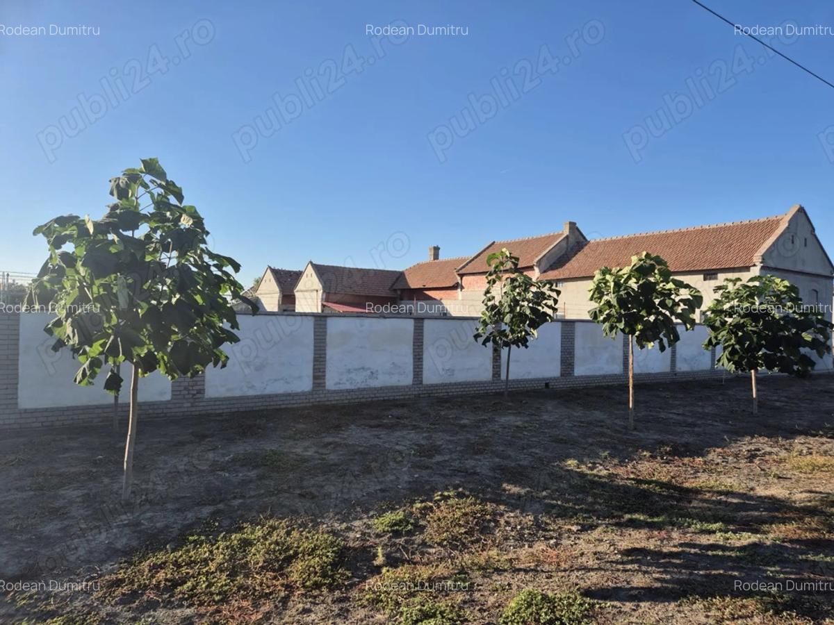Casa cu teren generos de vanzare, Varia?, jud.Timi? - 4