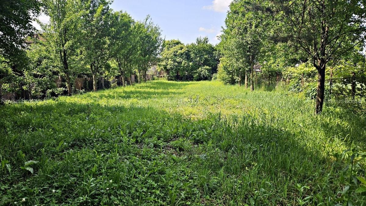 Cristian aproape de Primarie casa saseasca teren 1400 mp - 3