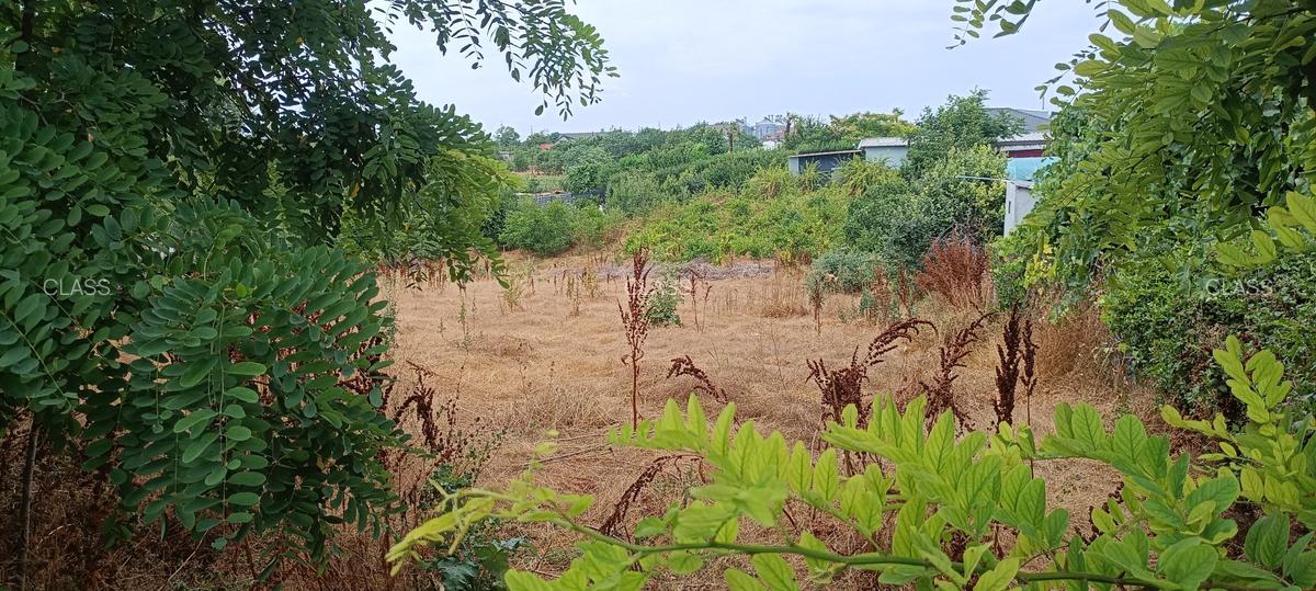 Lumina, 3300 mp, intravilan, zona Primărie - 4 Lumina, 3300 mp, intravilan, zona Primărie - 4