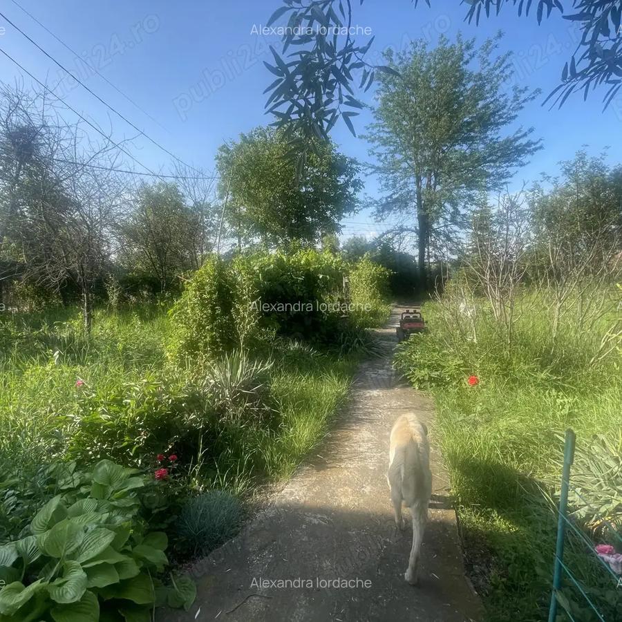 Vand casa sat Podul Doamnei com Clejani - 5