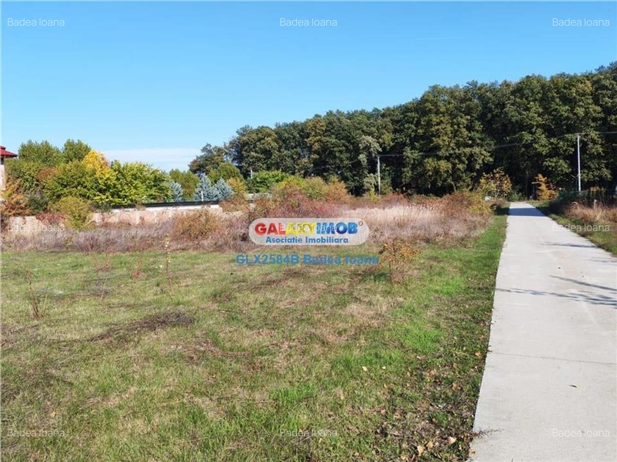 Teren intravilan 471 mp - str Timpului - Corbeanca - 8