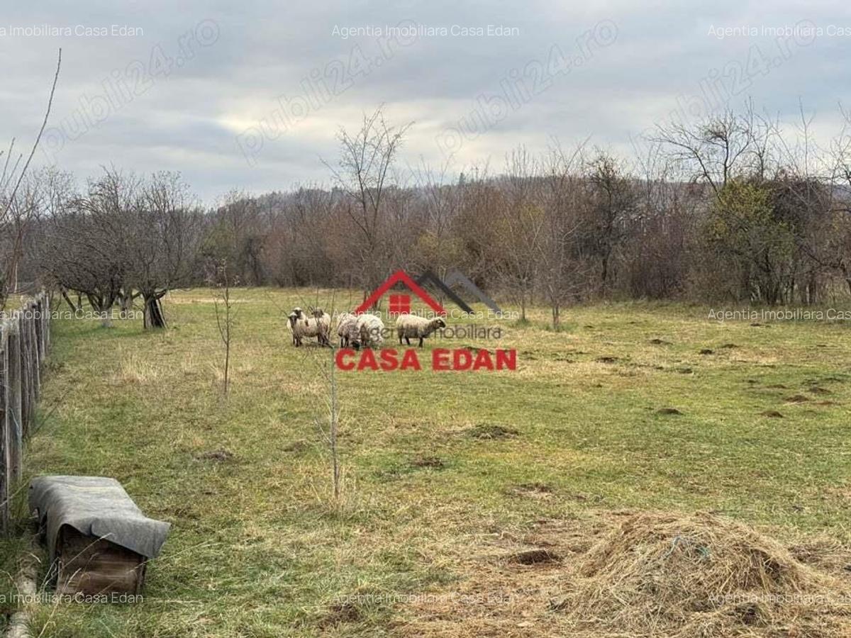 Teren intravilan in Brebu--2080mp--22e - 2