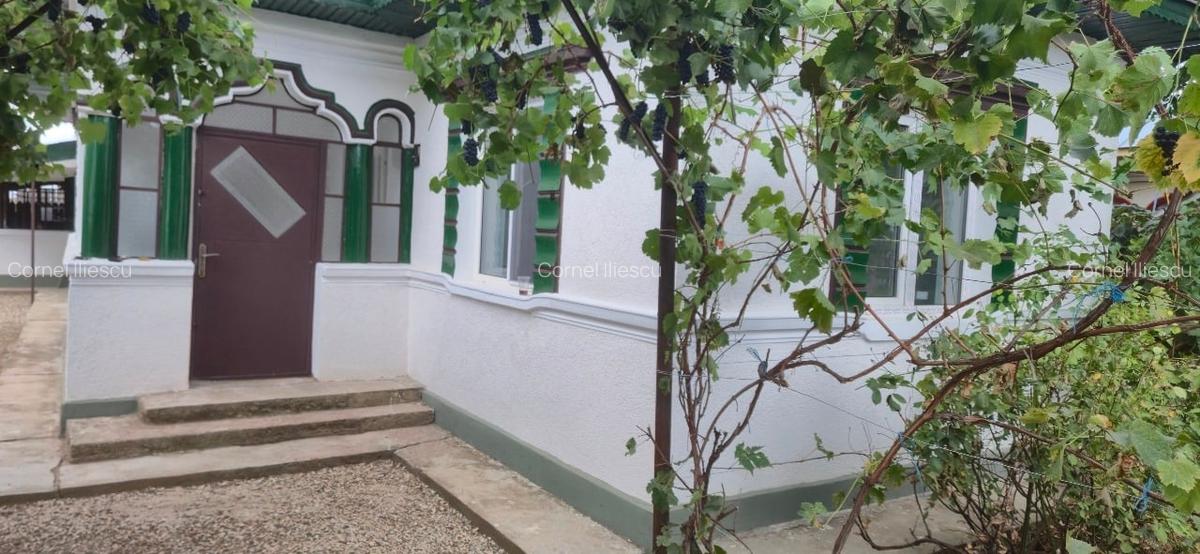 Vand casa Hobaia, Ogrezeni județ Giurgiu - 2