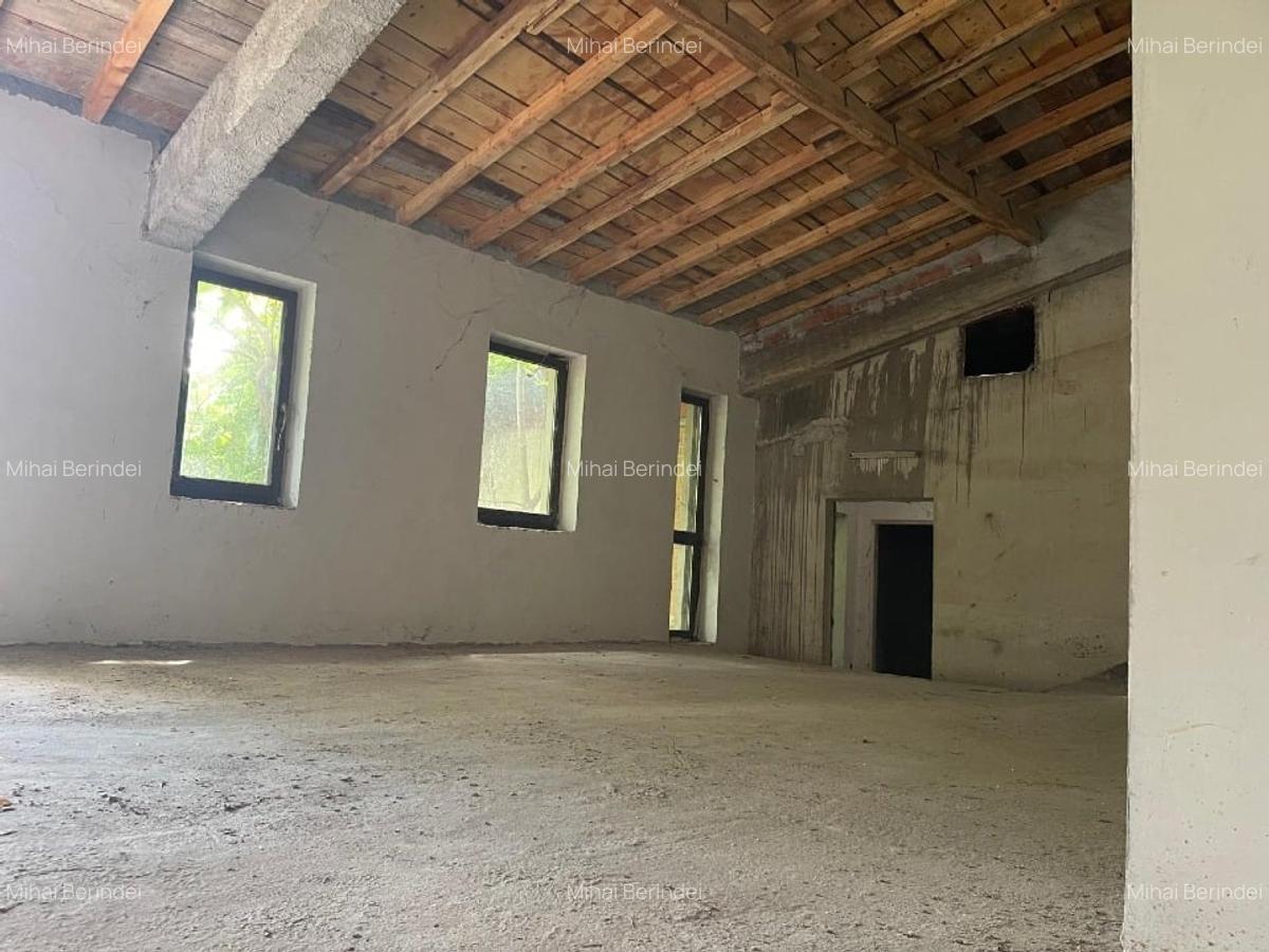 Vilă 2 corpuri – construcție 2012 + casă veche interbelică, curte generoasă - 16