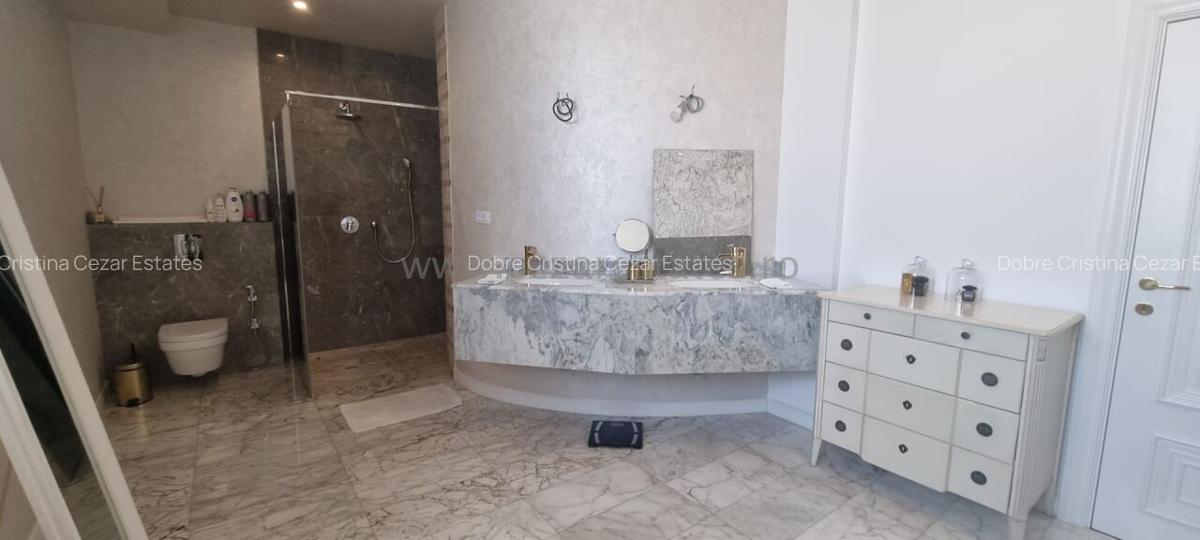 PIPERA IANCU NICOLAE VILA LUX RENOVATA COMPLET 2022 - 60