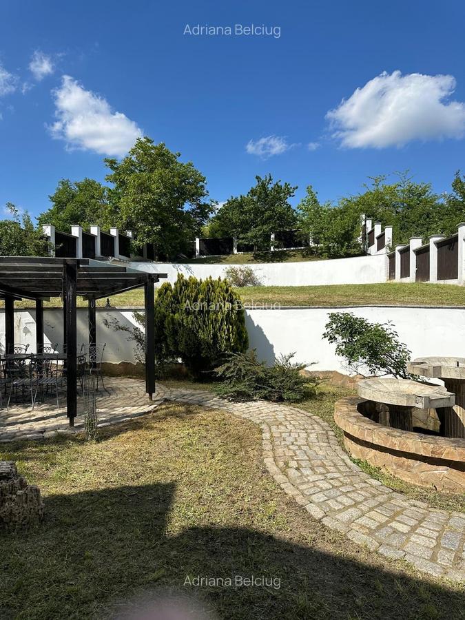 Vila Bucium cod 158289 - 11