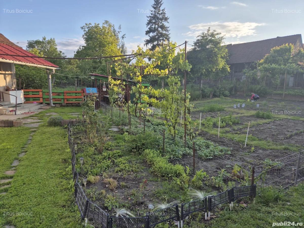 Casa de vanzarea - 7