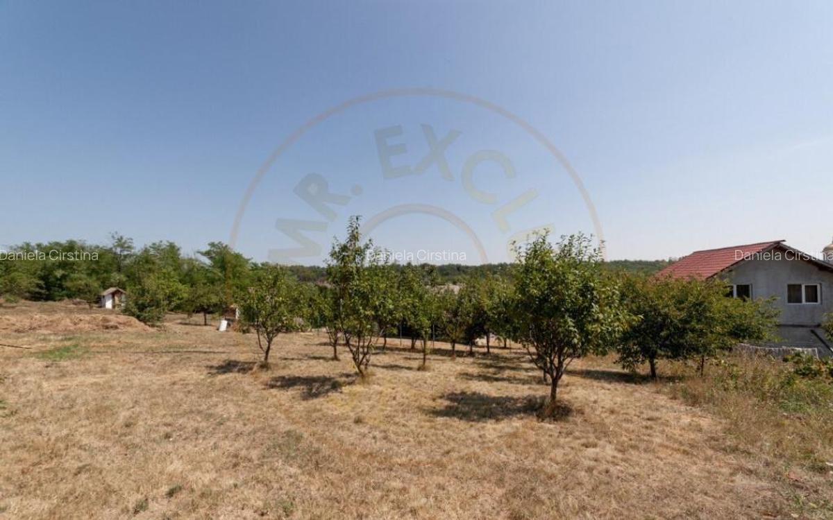 0% Comision !! CASA PODUL BROSTENI - ARGES - 10
