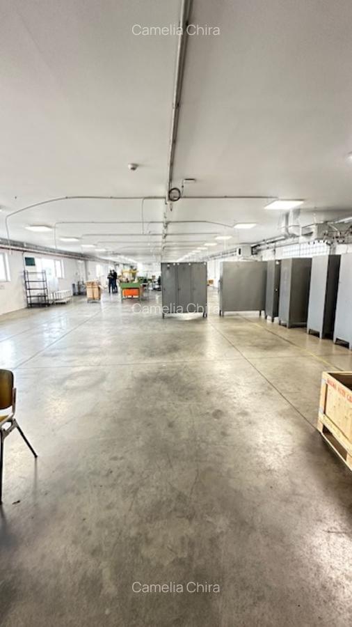 Zona Margeanului HALA industriala +birouri +depozit  ! - 2