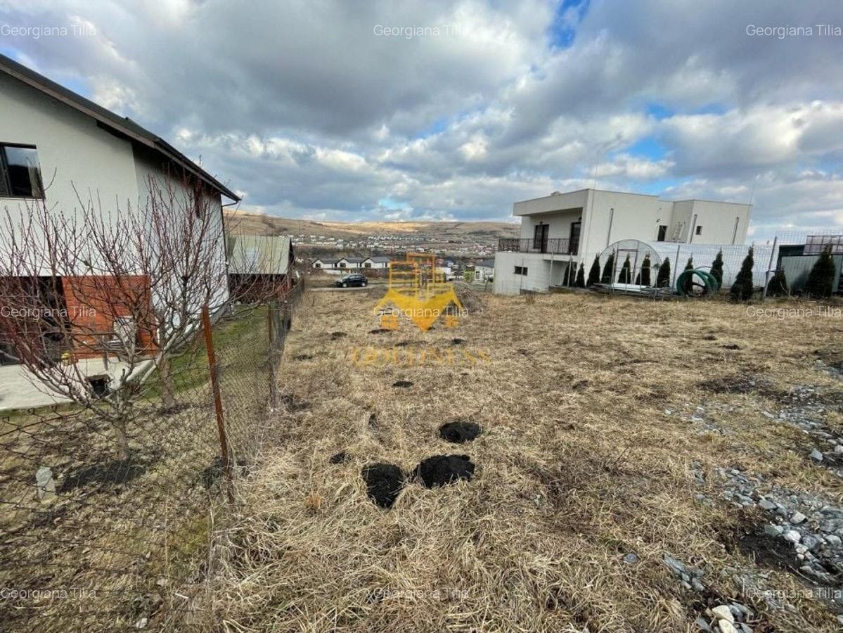 Teren, Intravilan, 487mp  Chinteni, Certificat de Urbanism - 3