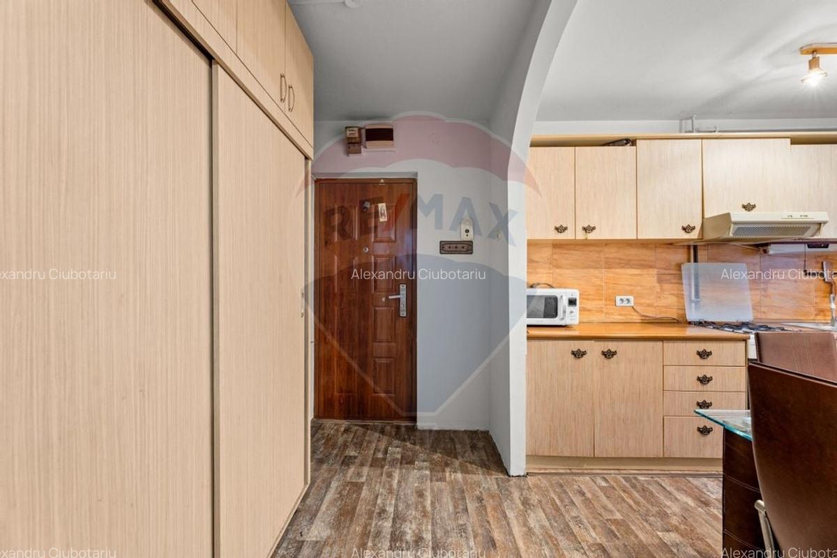 Apartament cu 3 camere de inchiriat - zona Boul Rosu - 6