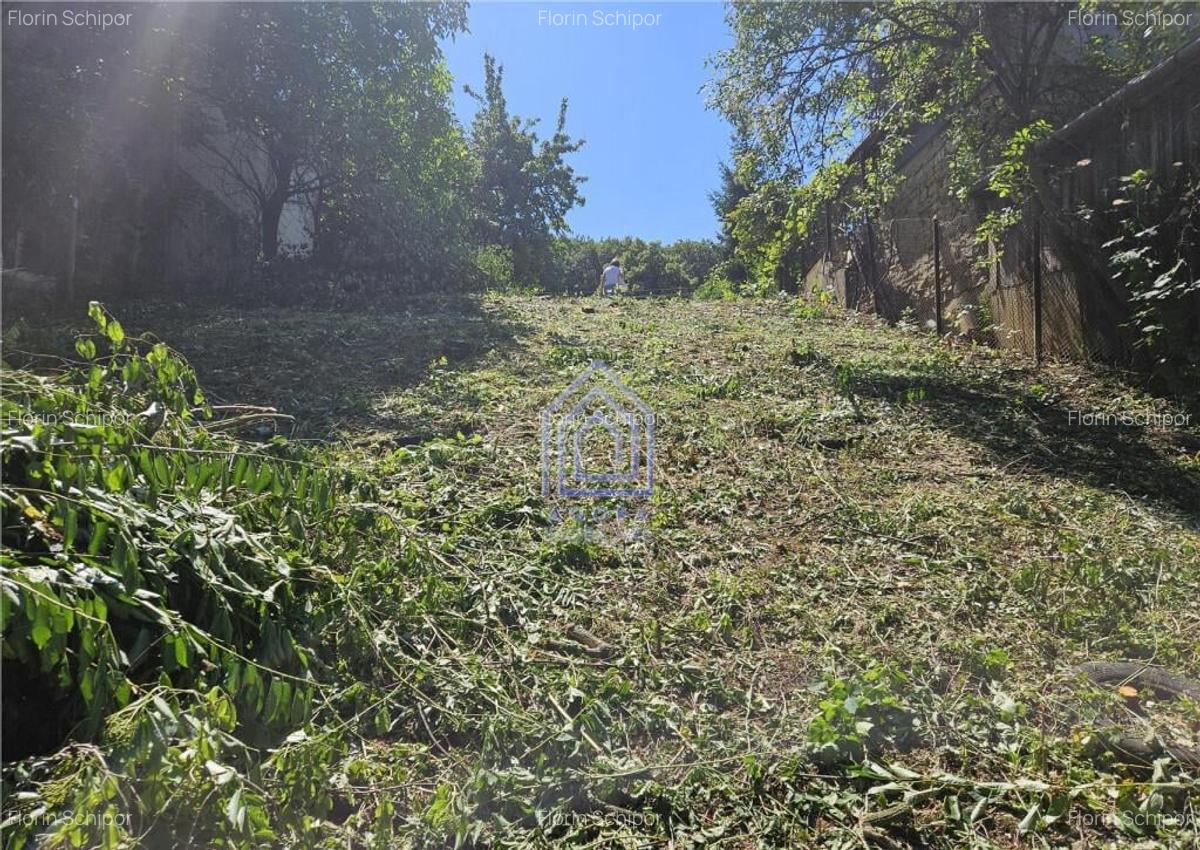 Teren , strada M. Sadoveanu, 7 ari. - 6