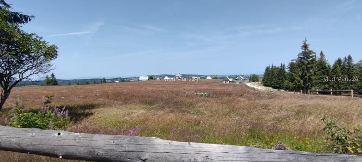 Vand Teren in Maguri, comuna Maguri-Racatau - 5