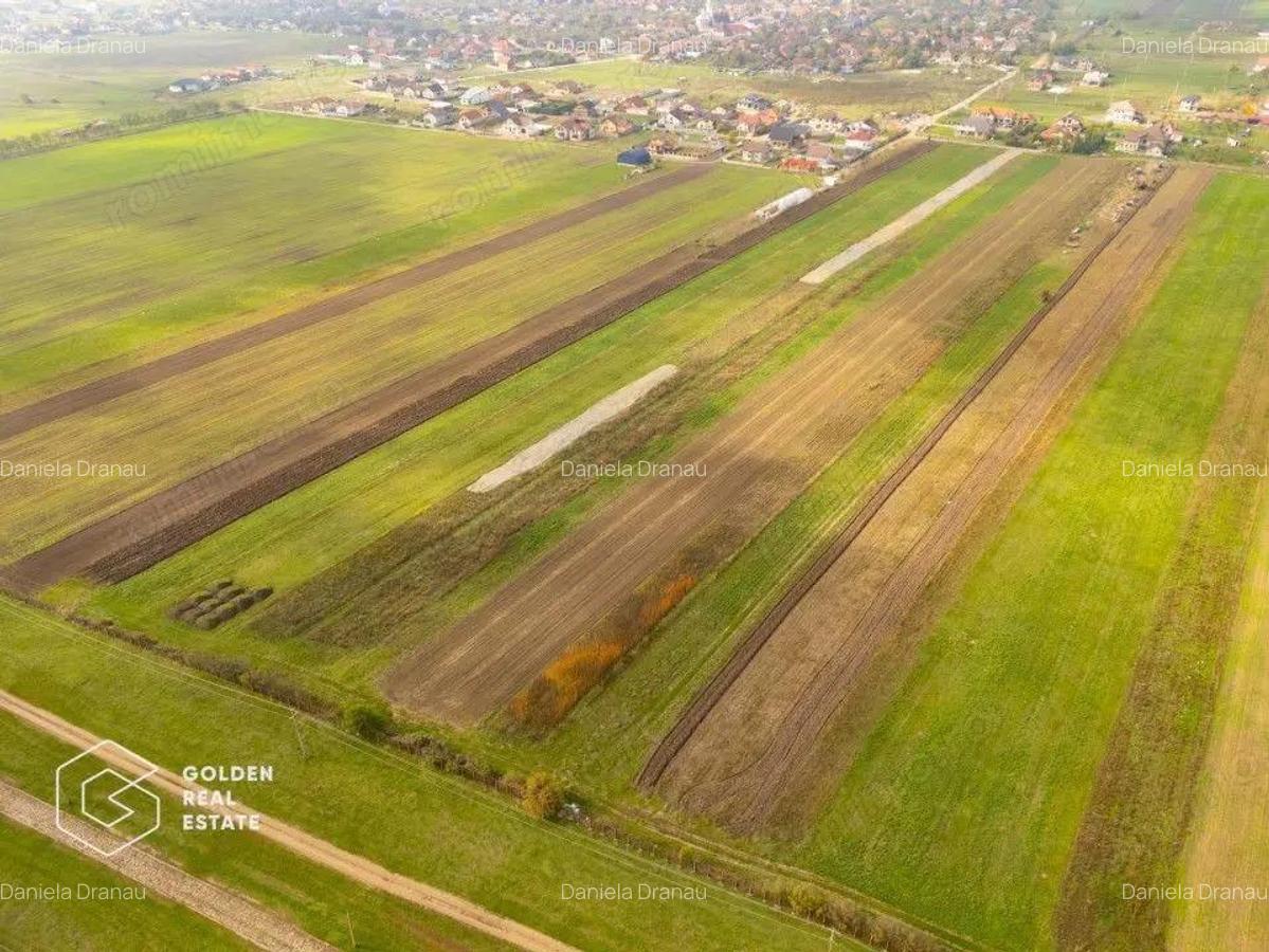 Parcele de 550 mp in Livada, cu toate utilitatile la strada - 6