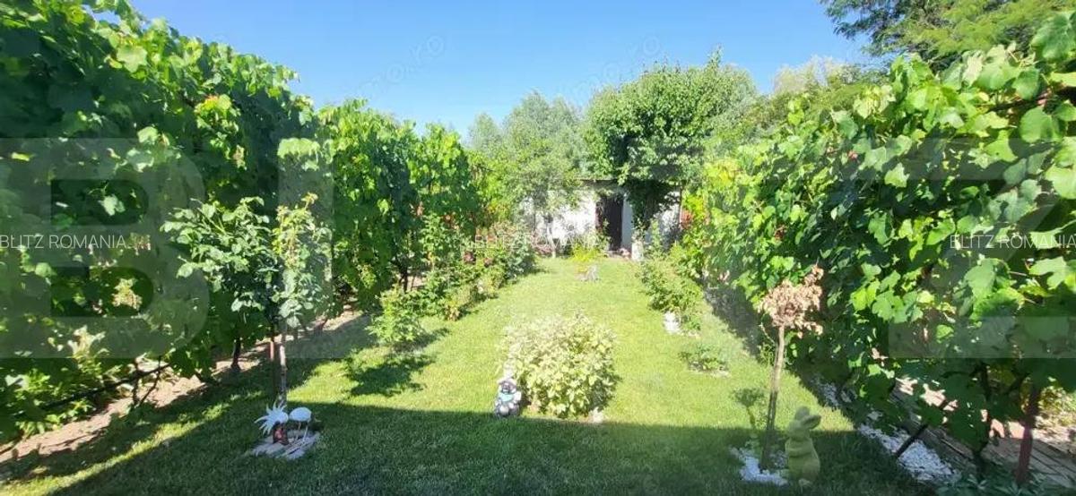 Casa cu 4 camere de vanzare in Sanandrei - Centru - 16