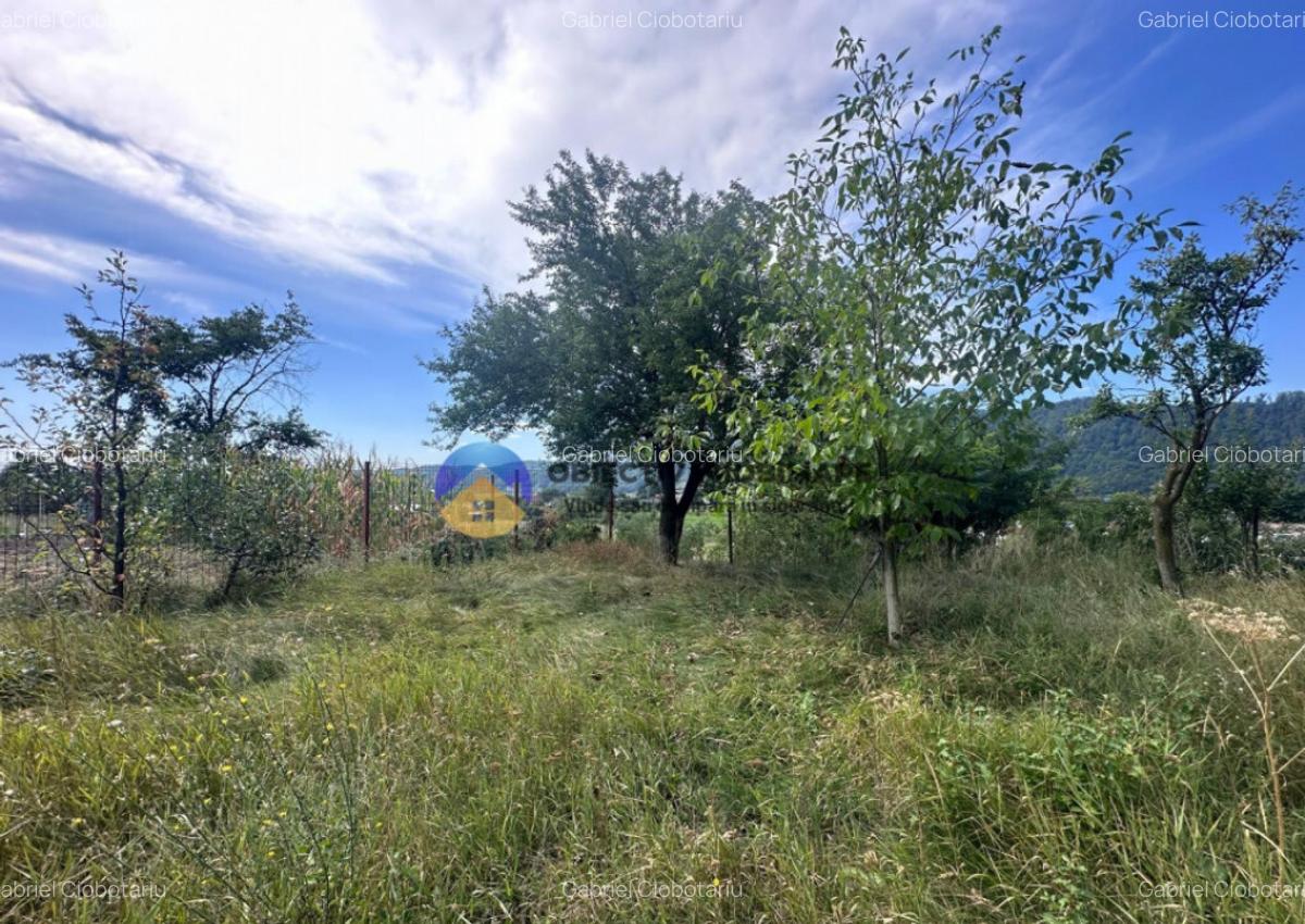 Teren + Casa de Vanzare 1170 mp Dumbrava Ro?ie, N - 4