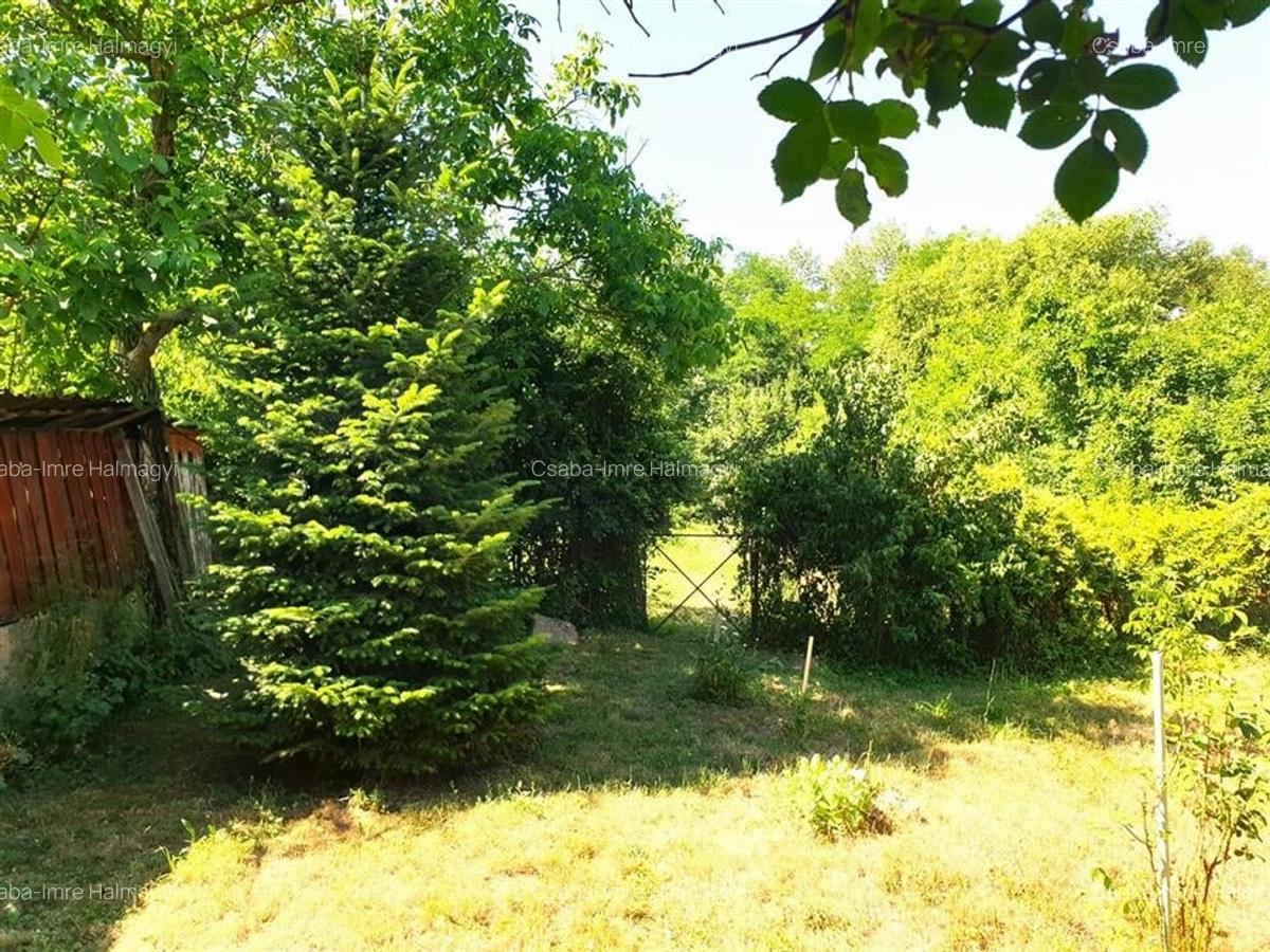 Casă individuală cu 2 camere în Ginta - 11