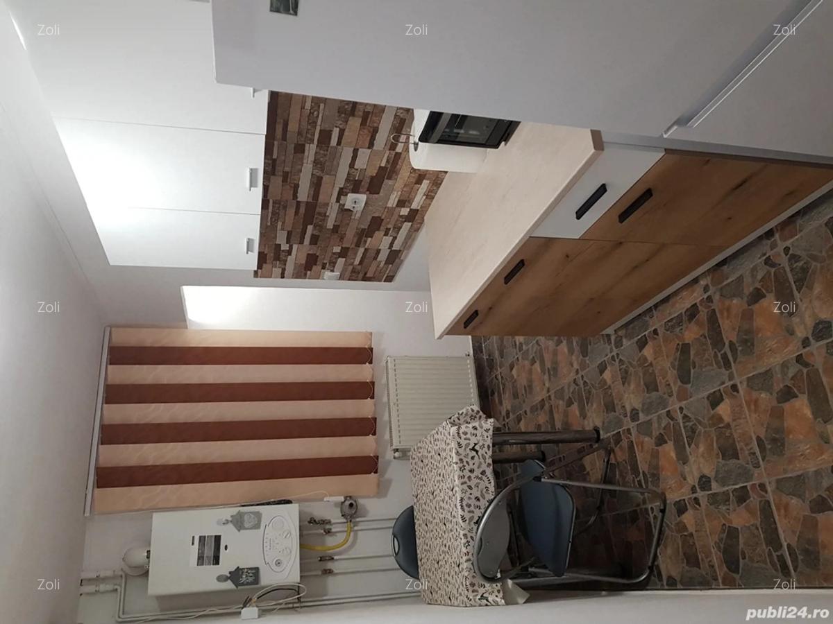 Apartament de vanzare cu o camera, Freidorf - 3