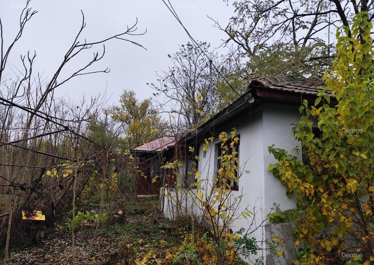 Casa batraneasca plus teren 1600mp Toporu jud. Giurgiu - 8