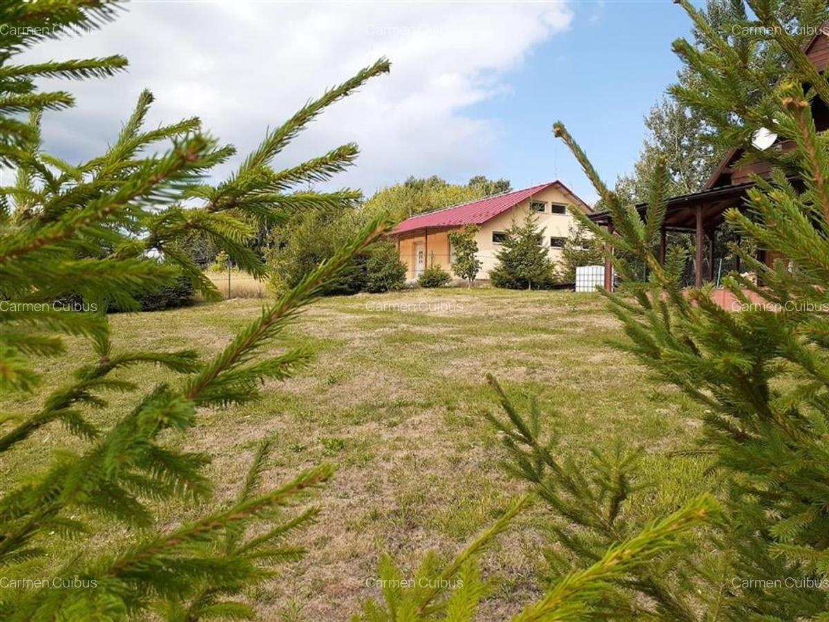 RECO casa Rosia - 6
