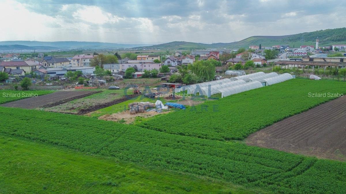 Teren de vanzare in Apahida - 4
