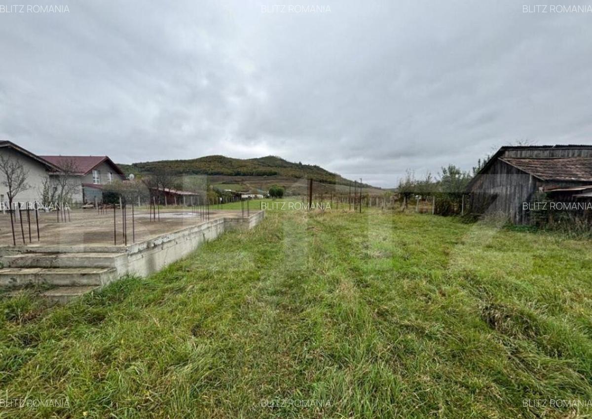 Teren 4000 mp,autorizatie de constructie Lechinta - 9
