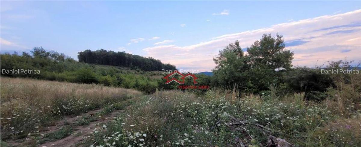 Oportunitate teren zona agrement sau parc eolian,Sibiu - 7