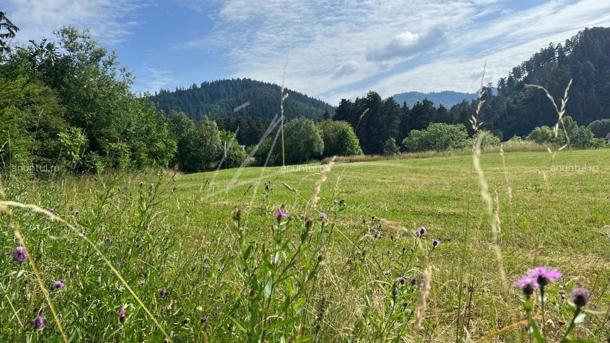 Brasov 2 Loturi de teren intravilan, 400 mp. cu autorizatie constructie valabila 2026 - 9