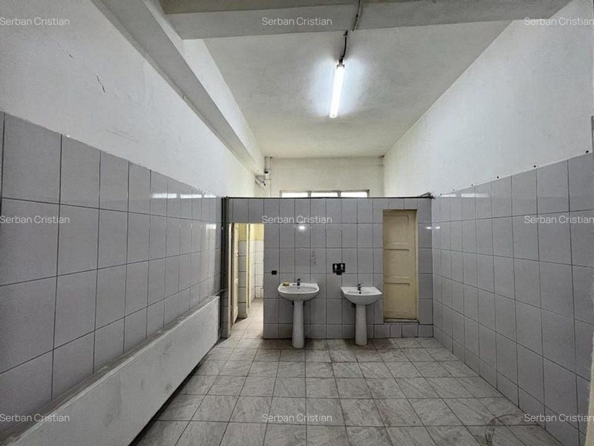 Drumul Intre Tarlale spatiu productie 1350 mp - 16