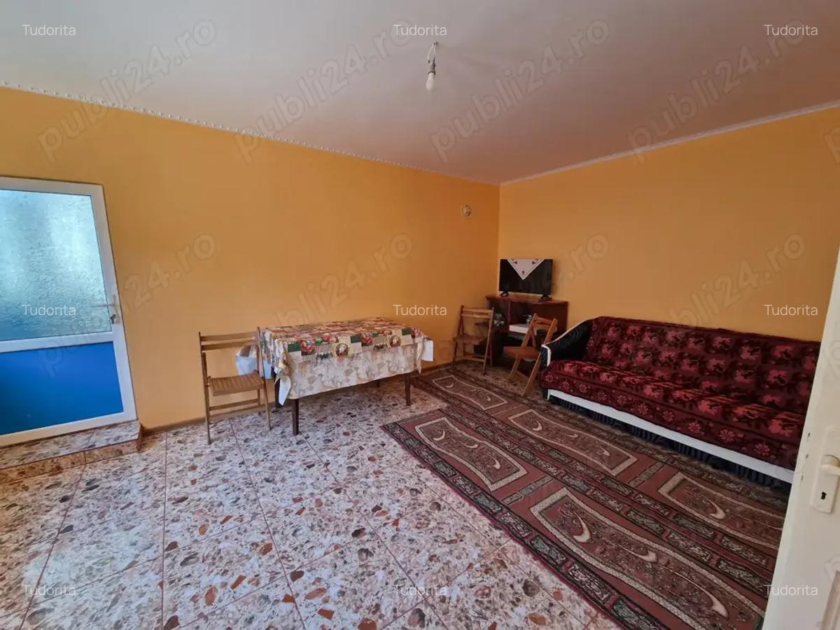 Casa de vanzare si teren, Jud.Braila, Comuna VIZIRU - 4