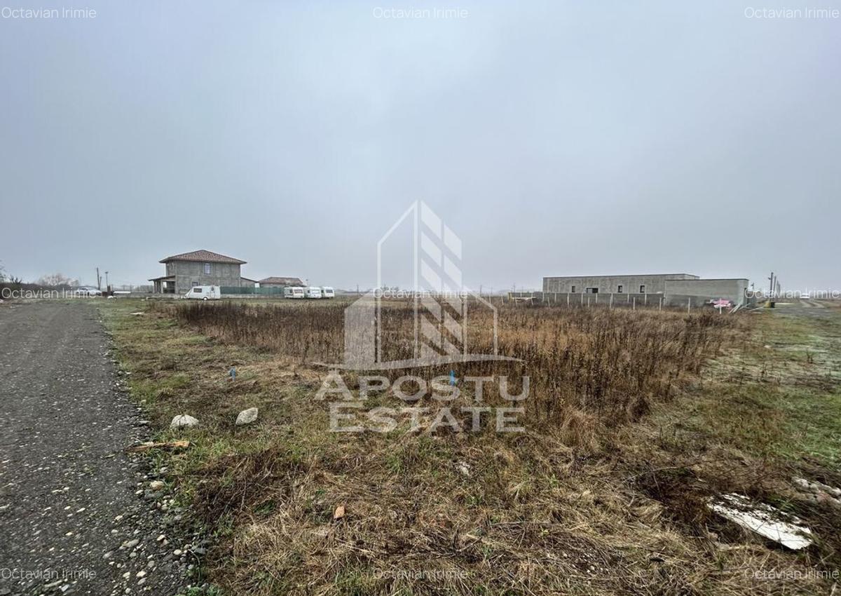 Teren 530 mp, Sacalaz, zona de case noi, zona PUZ Cosma. - 1