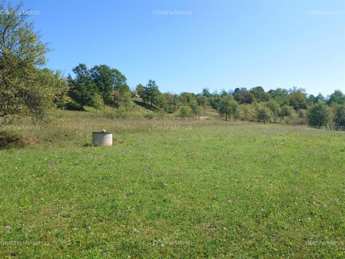 Teren intravilan 8757 mp cu potential turistic si acces direct la E79 - 5