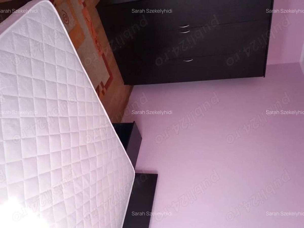 Inchiriez apartament 2 camere, Bvd. Camil Ressu, nr. 34, langa piata Ramnicu Sarat - 9