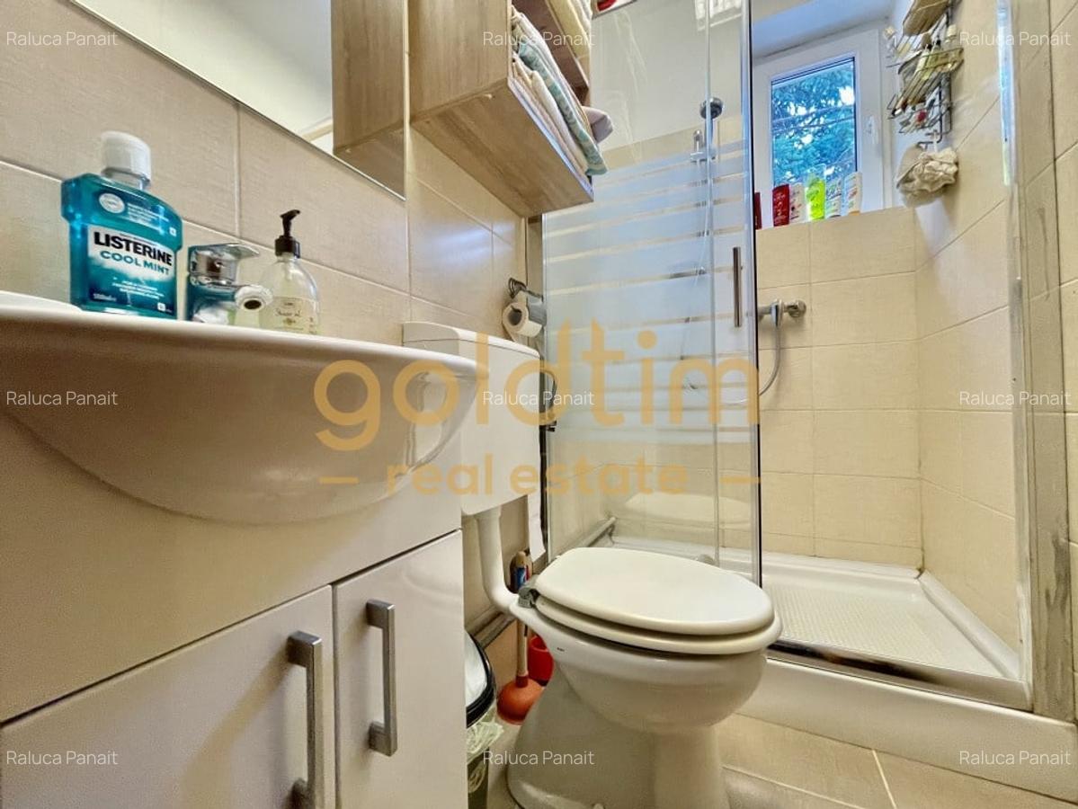 IANCU NICOLAE/ GRADINA SUPERBA/LOCURI DE PARCARE/SPATII GENEROASE - 10