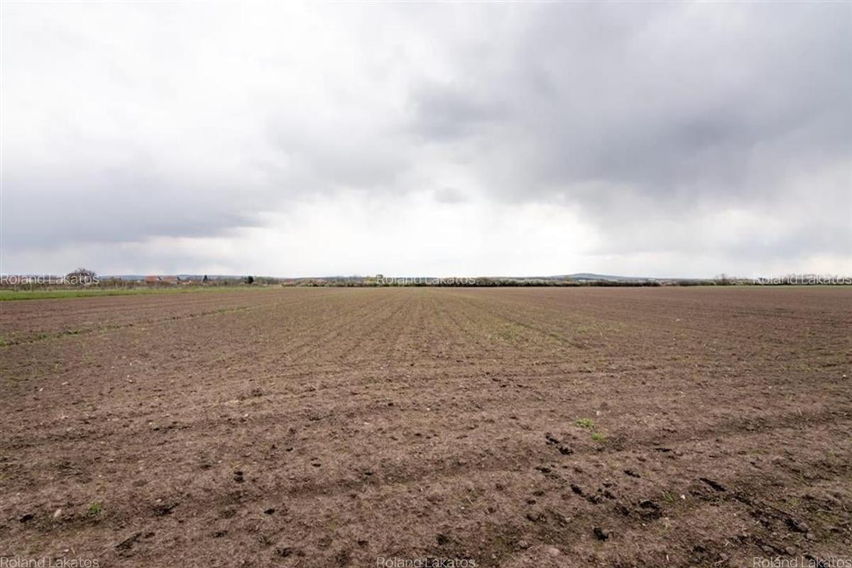 Teren Construcții intravilan de 5663 mp, în Oșorhei - 11