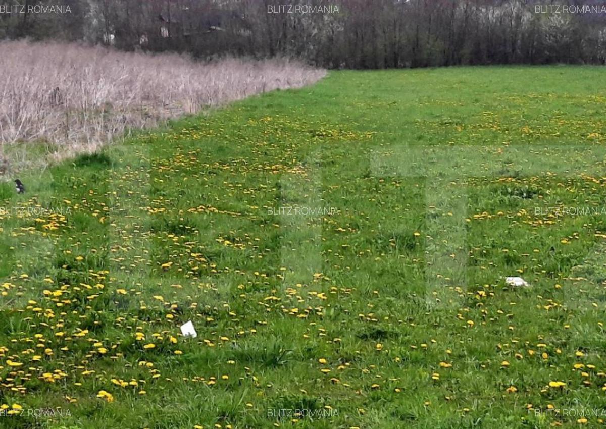 Teren intravilan 365mp,cu Puz aprobat prin HCL,in Borhanci - 3