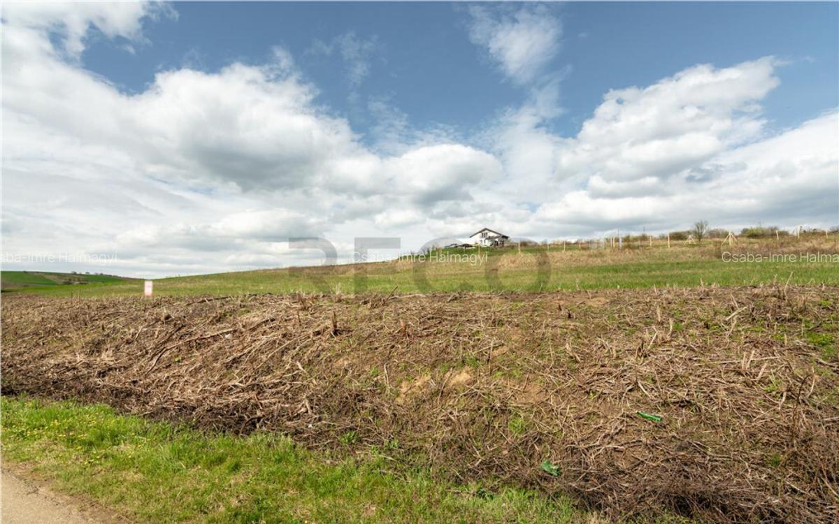 Teren intravilan Cetariu - 4