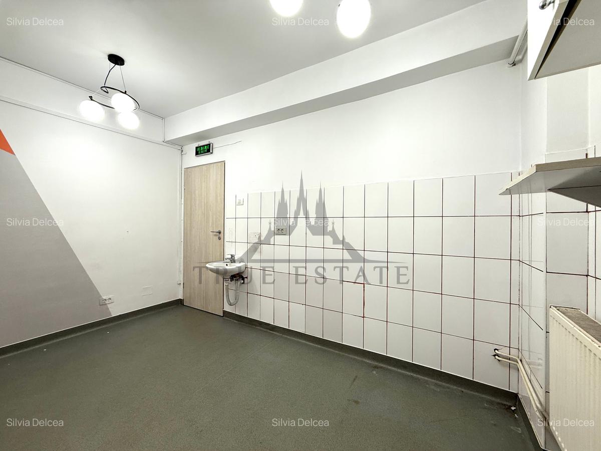 Inchiriere Vila pretabila pentru clinica, birouri sau gradinita - 19