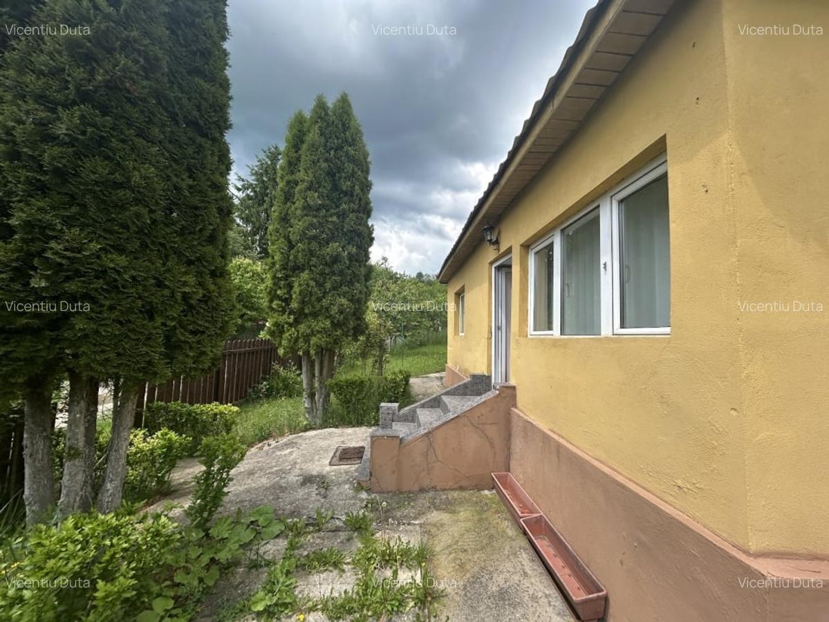 VAND CASUTA CU 1000 MP TEREN, SURDESTI BREAZA - 4