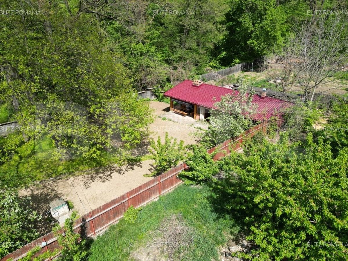 Casuta de vacanta in padure , zona Barnova - 1