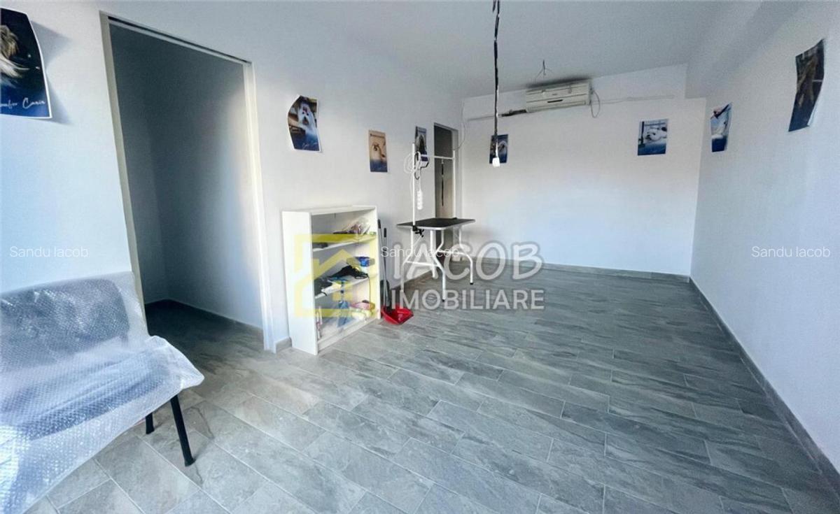 Spatiu amenajat pentru functionalitate multipla - 11