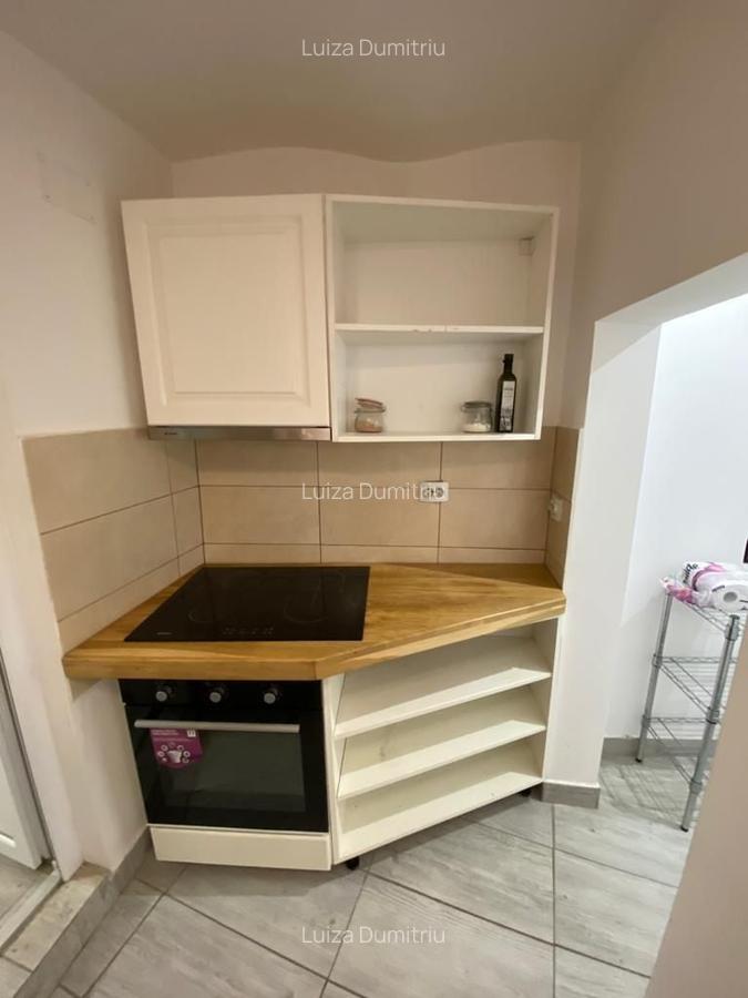 Parcul Carol, apartament in vila, parter, 6 camere, 4 bai, 2 bucatarii, pt birou - 9