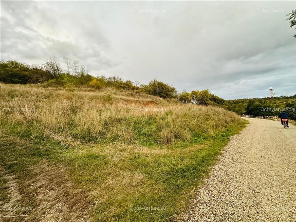 TEREN INTRAVILAN, 950 MP, ZONA PALEU, STRADA PADURII - 2