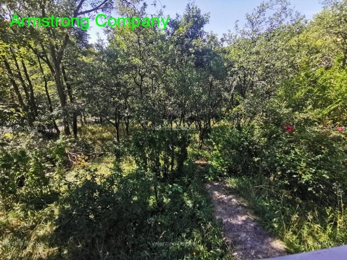 Vanzare Vila Breaza Nistoresti - 4